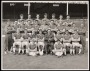 Image of : Photograph - Everton F.C. team. Jimmy Gabriel, Alex Parker, Frank Wignall, Gordon West, Brian Labone, George Heslop, Mike Meagan, Colin Green, Ray Veall, Billy Bingham, Alex Young, Roy Vernon, Dennis Stevens, George Thompson, Brian Harris