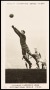 Image of : Cigarette Card - Alfred Harland