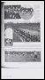 Image of : Article - Everton F.C. v. Tottenham Hotspur F.C. in Argentina, 1909