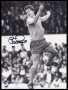 Image of : Photograph - Joe Royle