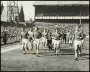 Image of : Photograph - Everton F.C. team after winning the League Championship