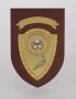 Image of : Plaque - United Arab Emirates