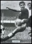 Image of : Photograph - Dave Hickson