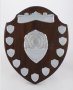 Image of : Plaque - for Everton Agent of the Year.