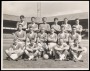 Image of : Photograph - Everton F.C. team, Brian Labone, Alex Parker, Albert Dunlop, W. Mailey, Brian Harris, Mickey Lill, F. Wignall, Billy Bingham, Alex Young, R. Collins, Roy Vernon, G. Fell, Jimmy Gabriel, Mike Meagan, Tommy Jones, George Thomson