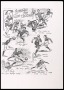 Image of : Cartoon - Everton the Cup Winners, 1906