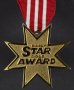 Image of : Medal - Daily Star Gold Award