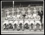 Image of : Photograph - Everton F.C. team, A. Parker, J. Gabriel, B. Labone, A. Dunlop, J. Branwell, T. Jones, Gordon Watson. Seated: M. Meagan, M. Lill, B. Collins, J. Harris, R. Vernon, T. Ring, B. Harris